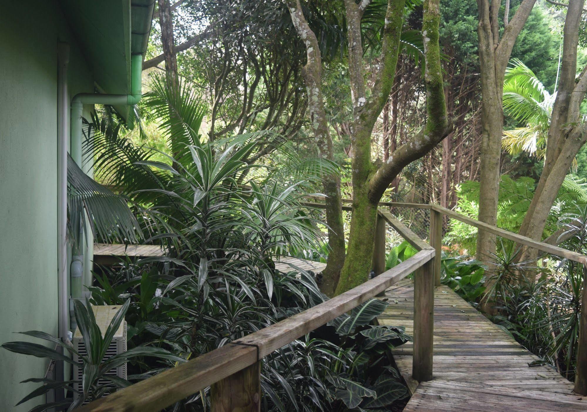 Chalet On Gallery Walk - King Bed, Spa, Fireplace, Wifi & Netflix, Linger A While Mount Tamborine Zewnętrze zdjęcie